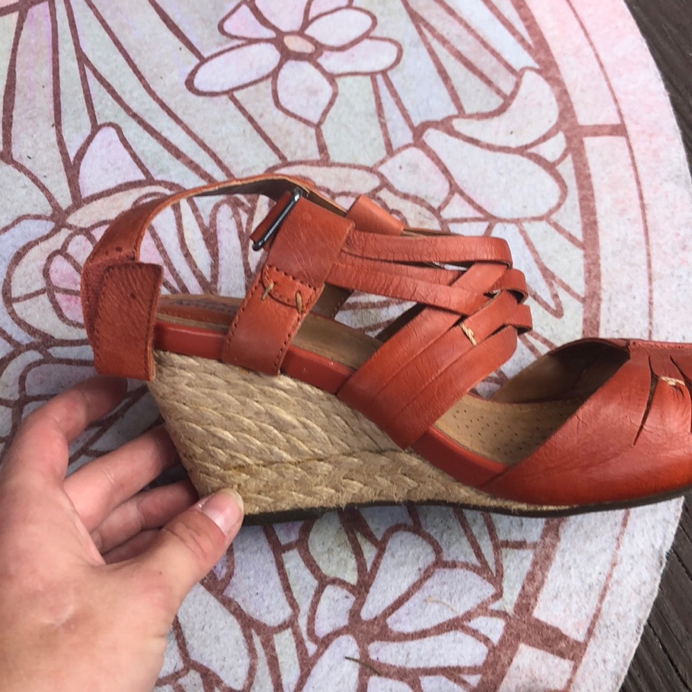 Clark wedges